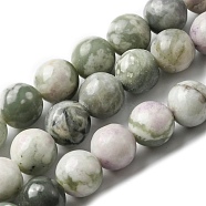 Natural Peace Jade Beads Strands, Round, 8~8.5mm, Hole: 1.2mm, about 47pcs/strand, 14.76''(37.5cm)(G-E598-04B)