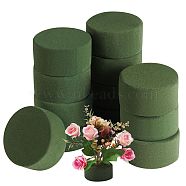 12Pcs DIY Flower Arrangement Kit, Dry Floral Foam, for Wedding Aisle Flowers, Party Decoration, Green, 76.5x40.5mm, 12pcs/box(sgAJEW-SZ0001-74)