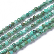 Natural Howlite Beads Strands, Dyed & Heated, Faceted, Round, 3~3.5x2~3.5mm, Hole: 0.2mm, about 120~189pcs/strand, 15.3~16 inch(39~40cm)(X-G-F596-09-3mm)