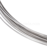 Stainless Steel Wire, Flat, Stainless Steel Color, 1.6x0.5mm, about 22.97 Feet(7m)/Roll(CHS-WH0010-01A)