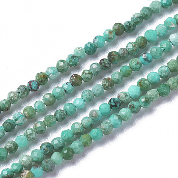 Natural Howlite Beads Strands, Dyed & Heated, Faceted, Round, 3~3.5x2~3.5mm, Hole: 0.2mm, about 120~189pcs/strand, 15.3~16 inch(39~40cm)