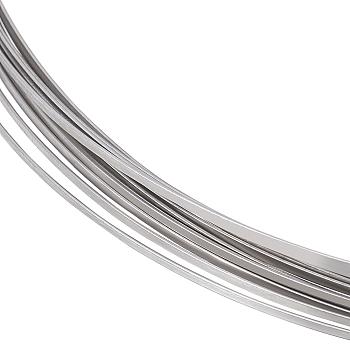 Stainless Steel Wire, Flat, Stainless Steel Color, 1.6x0.5mm, about 22.97 Feet(7m)/Roll