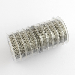 Enddraht, nylonbeschichteter Edelstahl, Edelstahl Farbe, 0.38 mm, ca. 32.8 Fuß (10m)/Rolle(TWIR-S001-0.38mm-02)