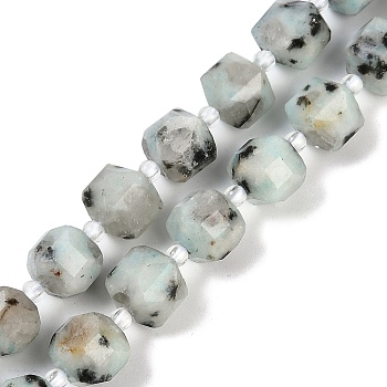 Natural Sesame Jasper/Kiwi Jasper Beads Strands, Faceted Table Cut Cube Beads, with Seed Beads, 8.5~9x9~9.5x9~9.5mm, Hole: 1mm, about 36~38pcs/strand, 15.35~15.55''(39~39.5cm)