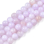 Natural Freshwater Shell Beads Strands, Dyed, Round, Plum, 2.5mm, Hole: 0.5mm, about 122~136pcs/strand, 14.57 inch~15.63 inch(37cm~39.7cm)(BSHE-T009A-01G)