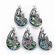 Labster Shape Natural Abalone Shell/Paua Shell Brooch Pin, Alloy with Rhinestone Lapel Pin for Girl Women, Lead Free & Cadmium Free, Antique Silver, Colorful, 52~53x28~31x11~12mm, Hole: 7x4mm, Pin: 0.7mm(G-N333-003A-RS)