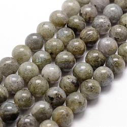 Natural Labradorite Bead Strands, Round, 8mm, Hole: 1mm, about 44pcs/strand, 14.9 inch~15.1 inch(G-D840-64-8mm)