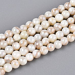 AB Color Natural Freshwater Shell Beads Strands, Round, Seashell Color, 4mm, Hole: 0.7~0.9mm, about 100~103pcs/strand, 14.76~15.20''(37.5~38.6cm)(BSHE-T014-40C)