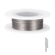 Steel Wire, Silver, 0.25mm, about 492.12 Feet(150m)/roll(TWIR-UN0001-02-0.25mm)
