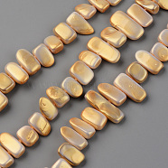 Spray Painted Natural Freshwater Shell Beads Strands, Shell Shards, Chip, Goldenrod, 5~9x8~26x3~6mm, Hole: 0.8mm, about 41~45pcs/strand, 13.78 inch~14.96 inch(35~38cm)(SHEL-S276-89E)