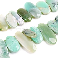 Natural Chrysoprase Beads Strands, Oval, 22~50x8~22x4~7mm, Hole: 0.5mm, about 27pcs/strand, 16.14 inch(41cm)(G-G838-04)