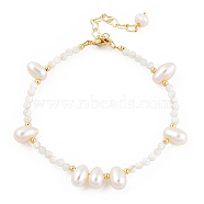 Natural White Shell & Pearl Beaded Bracelet for Women, Creamy White, 6-3/4 inch(17.2cm)(BJEW-T021-01G)