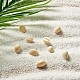 Yilisi Cowrie Shell Beads(BSHE-YS0001-01)-6