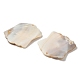 Natural Freshwater Shell Pendants(SHEL-K006-55)-2