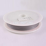 1 Roll Beading Wirer, Tiger Tail Wire, Nylon-coated Stainless Steel, Original Color(Raw), Raw, 0.35mm, about 229.65 Feet(70m)/roll(X-TWIR-70R0.35MM-1)