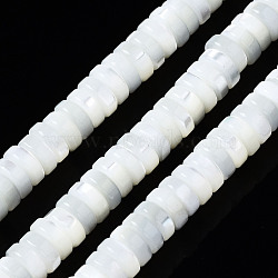 Natural Trochid Shell/Trochus Shell Beads Strands, Bleach, Flat Round/Disc, Heishi Beads, Seashell Color, 6x2mm, Hole: 0.7mm, about 174~176pcs/strand, 15.94 inch(40.5cm)(SSHEL-S266-019A-02)