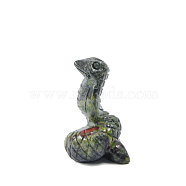 Natural Dragon Blood Sculpture Display Decorations, for Home Office Desk, Snake, 31.3x40.7mm(G-PW0004-37G)