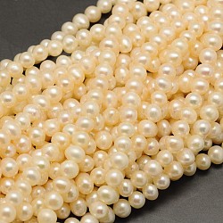 Natural Cultured Freshwater Pearl Beads Strands, Round, Beige, 5~6mm, Hole: 0.8mm, about 65~67pcs/strand, 14.9 inch(PEAR-F001-30-01)