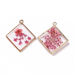 Transparent Clear Epoxy Resin Pendants, with Edge Golden Plated Alloy Loops, Rhombus Charms with Inner Flower, Cerise, 30x26.5x3mm, Hole: 1.8mm(RESI-L036-11KCG-01)