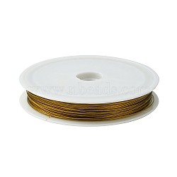 Tiger Tail Wire, Nylon-coated Stainless Steel, Goldenrod, 0.45mm, about 164.04 Feet(50m)/Roll(X-L0.38mm07)