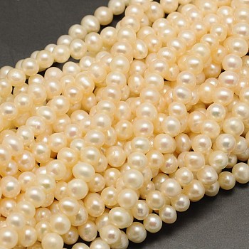 Natural Cultured Freshwater Pearl Beads Strands, Round, Beige, 5~6mm, Hole: 0.8mm, about 65~67pcs/strand, 14.9 inch