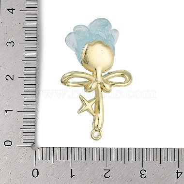 Golden Alloy Resin Pendants(FIND-U017-07G-01)-3