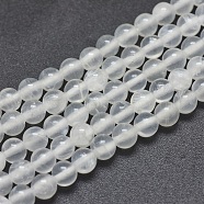 Natural Selenite Beads Strands, Round, 4mm, Hole: 0.8mm, about 91pcs/strand, 15.7 inch(40cm)(X-G-G792-24A)