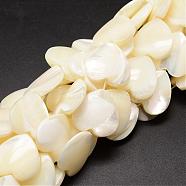 Natural Trochid Shell/Trochus Shell Beads Strands, Heart, Creamy White, 18~19x18~19x4~6mm, Hole: 1mm, about 21pcs/strand, 15.35 inch(SSHEL-K012-02)