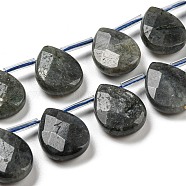 Natural Labradorite Beads Strands, Top Drilled Beads, Faceted, Teardrop, Black, 18x13x5mm, Hole: 1mm, 22pcs/strand, 15.6 inch(39.5cm)(G-D864-12B-01)