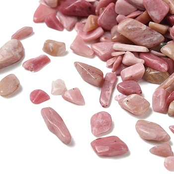 Natural Rhodonite Chip Beads, No Hole, 2~8x2~4mm