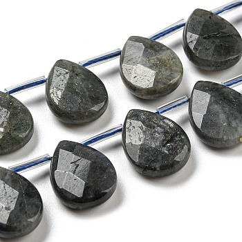 Natural Labradorite Beads Strands, Top Drilled Beads, Faceted, Teardrop, Black, 18x13x5mm, Hole: 1mm, 22pcs/strand, 15.6 inch(39.5cm)