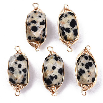 Natural Dalmatian Jasper Links/Connectors, Light Gold Tone Brass Wire Wrapped, Rectangle Octagon, 22~24x9~10x8.5mm, Hole: 1.6mm