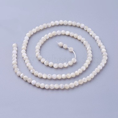 Natural Shell Beads Strands(X-G-F619-27-3mm)-2