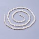 Natural Shell Beads Strands(X-G-F619-27-3mm)-2