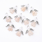 10Pcs Acrylic & Imitation Pearl Flower Angel Pendants, with Alloy Wings and Brass Findings, Antique Silver & Platinum, Wheat, 20mm, Hole: 2.2mm, 10pcs/set(PALLOY-YW00055-03)