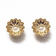 304 Stainless Steel Bead Caps, Multi-Petal Flower, Real 18k Gold Plated, 5.5x1mm, Hole: 1.2mm(X-STAS-H130-30G)