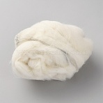 20G Wool Roving, for Needle Felting Supplies, Beige, 22mm(DIY-TAC0035-04A)