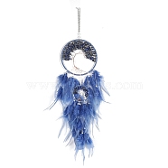 Retro Style Iron & Natural Lapis Lazuli Pendant Hanging Decoration, Woven Net/Web with Feather Wall Hanging Wall Decor, 160mm(PW-WG38430-02)