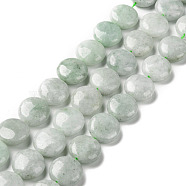 Natural Myanmar Jade/Burmese Jade Beads Strands, Flat Round, 15.5x7mm, Hole: 1.2mm, about 26pcs/strand, 15.94 inch(40.5cm)(G-C238-12B)