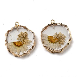 Inner Dried Flower Resin Pendants, Flat Round Charms with Light Gold Plated Brass Edge and Iron Loops, Sandy Brown, 34~36x30~31.5x4.5~5.5mm, Hole: 2mm(RESI-P028-02KCG-08)