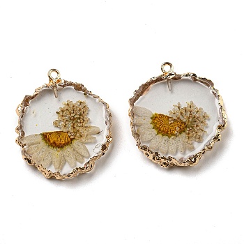 Inner Dried Flower Resin Pendants, Flat Round Charms with Light Gold Plated Brass Edge and Iron Loops, Sandy Brown, 34~36x30~31.5x4.5~5.5mm, Hole: 2mm
