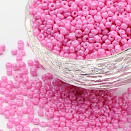 (Repacking Service Available) Baking Paint Glass Seed Beads, Hot Pink, 6/0, 4~5x3~4mm, Hole: 1~2mm, 12g/bag(SEED-C024-A-K2)