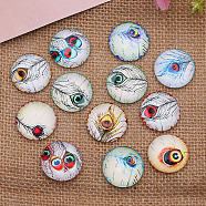 K5 Glass Cabochons, Random Pattern, Half Round with Peacock Feather Pattern, Mixed Color, 25mm(FEAT-PW0001-088K)