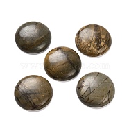 Natural Picasso Jasper Cabochons, Flat Round, 27~28x6~8mm(G-B085-02A-09)