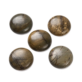 Natural Picasso Jasper Cabochons, Flat Round, 27~28x6~8mm