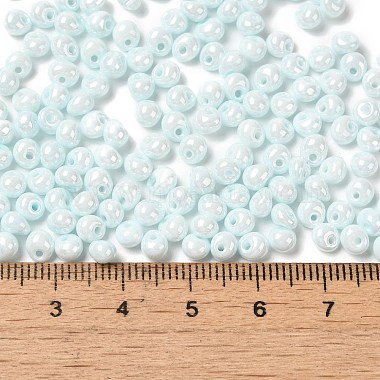 6/0 Glass Seed Beads(SEED-M012-01A-13)-4