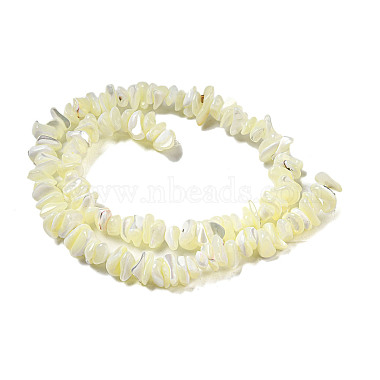 Natural Trochus Shell Beads Strands(SSHEL-H072-12)-2