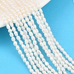 Natural Cultured Freshwater Pearl Beads Strands, Rice, Grade 2A+, PapayaWhip, 2~2.5mm, Hole: 0.5mm, about 99~102pcs/strand, 14.17~14.37'''(36~36.5cm)(PEAR-F020-07)