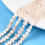 Natural Cultured Freshwater Pearl Beads Strands, Baroque Keshi Pearl Beads, Two Sides Polished, Creamy White, 4~5x4.5~6.5x2.5~4mm, Hole: 0.5mm, about 37~39pcs/strand, 6.69~6.89 inch(17~17.5cm)(PEAR-N014-04D-01)