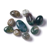 Natural Moss Agate Beads, Tumbled Stone, Vase Filler Gems, No Hole/Undrilled, Nuggets, 15.5~32.5x14~18x9~16.5mm, about 148pcs/1000g.(G-O188-05)